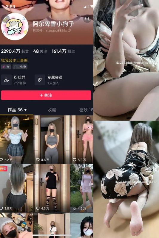 阿尔卑香小狗子 – 微密圈写真&视频合集【持续更新中】-悦赏图-全网写真资源站